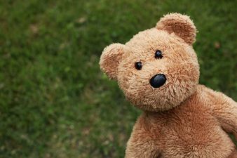 The Swedish Police Force Issue Teddy Bear Appeal