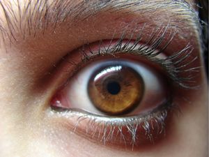 Why Is Everyone Talking About Bath Salts?