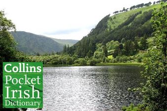 What the Fada? Sending a Text as Gaeilge Costs Three Times More Than Texting in English