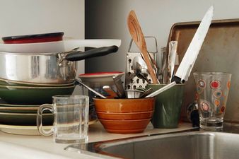 Dealing With Housemates From Hell