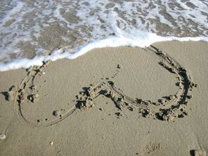 Absence Makes The Heart Grow Fonder vs. Out Of Sight, Out Of Mind