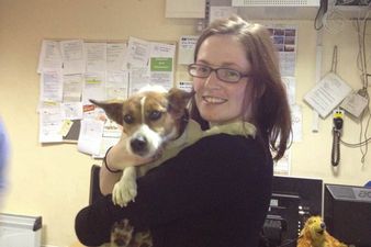 Well-TRAINed: Patch the Dog is Reunited With his Owner