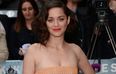 Marion Cotillard Never Expected To Be Cast in Batman