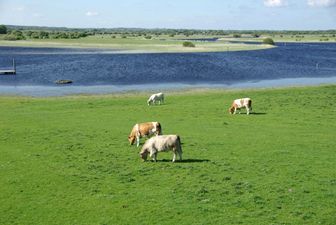 It Looks Offaly Nice – Londoners Head for Ireland to Escape the Olympics