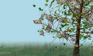 Money Really Does Grow On Trees as Cambodians Flock to a Magic Log