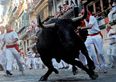 Crouching Runners, Raging Bulls – Three Gored in Pamplona