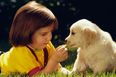 Study Finds Pet Dogs Improve Children’s Health