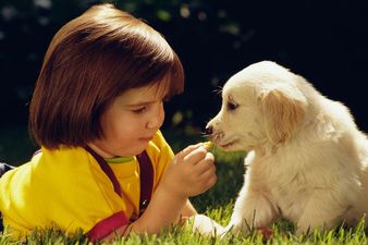 Study Finds Pet Dogs Improve Children’s Health