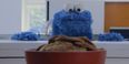 Cookie Monster Does Carly Rae Jepsen with his version of ‘Share It Maybe’