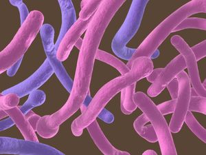 Are You Experiencing the Symptoms of Thrush?