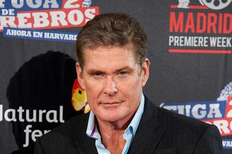 Happy 60th Birthday to the Hoff!