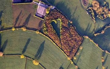 Farmer Makes Amazing Heart Memorial for his Late Wife