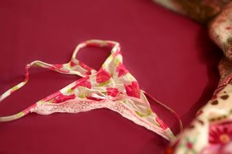 Female MP Forced to Quit As Sex Request Tape Leaks Online