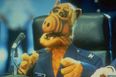 Long Live the 80s: Alf the Alien is Coming Back With his own Film
