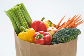 Is Junk Food Lowering Your Child’s Intelligence? Yes, Says a New Study…