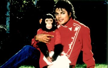 Michael Jackson Believed his Chimp Bubbles was a Great Judge of Character