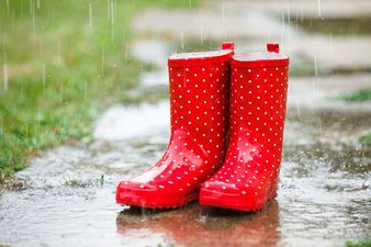 Perfect for a Rainy Day: 5 of the Best Wellies