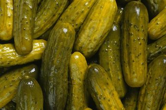 ‘Babe’ and ‘Pickle’ Among Most Hated Pet Names