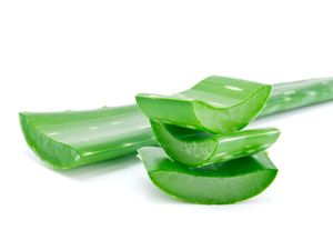 The Coolest Plant Around: Five Ways To Use Aloe Vera To Your Benefit