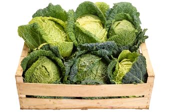 The New Super Foods: Research Reveals Cabbage and Milk may Prevent Breast Cancer
