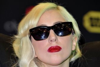 Animal Charity Call Gaga Heartless