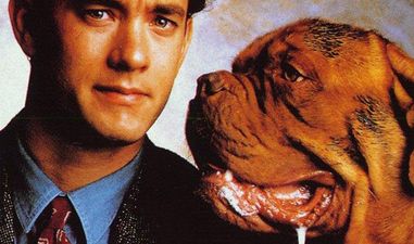 Woof Woof! These Pooches Broke Hollywood and Stole the Show!