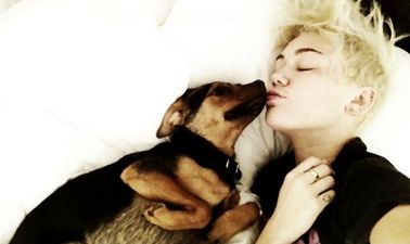 Our Top Celebrity Dog-Lovers