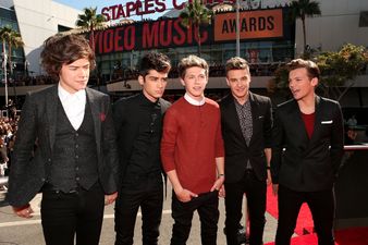 Niall Horan May Be After Demi Lovato but Says He Will Wed an Irish Girl