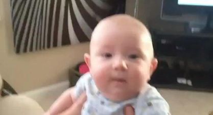 VIDEO: So This Family Won’t Be Getting a Pet Cat Then!