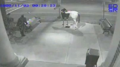 VIDEO: It’s the Classic Story of One Man and His Horse