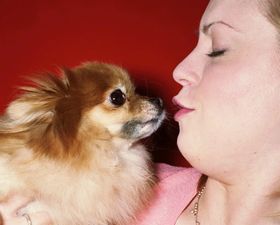 Step Away From The Pooch: A Canine Cuddle Can Expose You To A Lot More Than Just Dog Breath