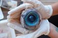 A Giant Creepy Eyeball Washes Up On a Florida Beach But Scientists Don’t Have A Clue Whose It Is