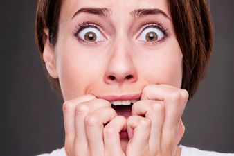 Fancy a Halloween Scare? Our Spider Population is Out of Control