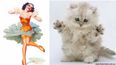 Miaow! These Furry Felines Look Awfully Familiar