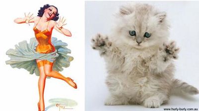 Miaow! These Furry Felines Look Awfully Familiar