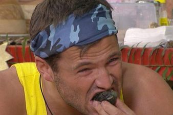 Fun And Games In The Jungle: The Ten Reasons We Love I’m A Celebrity, Get Me Out Of Here!