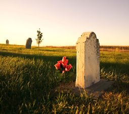 Whoops! Sky Ireland Issue Thousands Of Condolences To The Families Of Their Living Customers