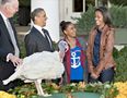 Gobble Gobble Gobble: Obama Saves Two Turkeys From Becoming A Delicious Thanksgiving Feast