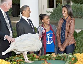 Gobble Gobble Gobble: Obama Saves Two Turkeys From Becoming A Delicious Thanksgiving Feast