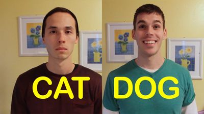 Cat-Friend vs. Dog-Friend – Which One Are You?