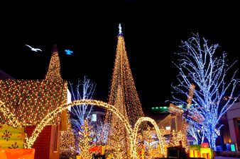 Lights Off: Red-Faced Organisers Forget Where The ‘On’ Switch Is At Christmas Lights Event