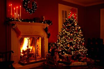 Real Christmas Trees Could Become a Thing of the Past