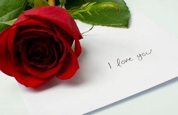 Sealed With a Kiss: Hurricane Sandy Unearths A Series of Love Letters