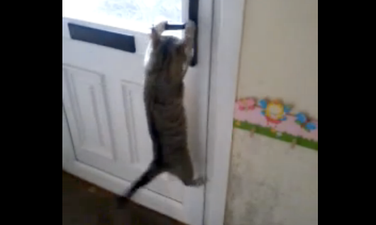 VIDEO: Time To Let The Cat Out? No It’s Ok, She’s Got It…