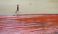 Panic as Water in Bondi Beach Turns Blood Red