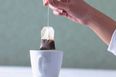 Tea-tastic: The Health Benefits of Your Favourite Hot Drink