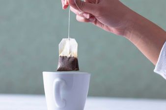 Tea-tastic: The Health Benefits of Your Favourite Hot Drink