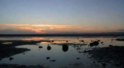 Champagne Animal Release New Music Video For Single