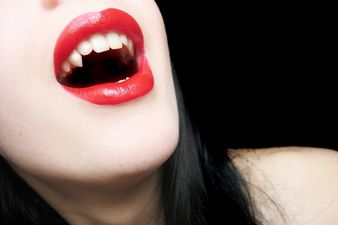 Local Council Issues Public Health Warning Stating That a Vampire is on the Loose