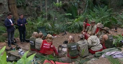 Let The Evictions Commence!  MP Nadine Dorries Loses Her Seat On I’m A Celebrity